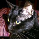 Maria Luisa Viana Terradas