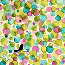 María José Mesías