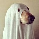 Pedro Melín Andrades