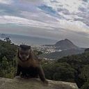 pablo_ramiro_carrera