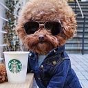 steven ruiz velasquez