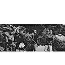 Daniel Garcia Bonilla