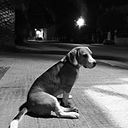 Gonzalo Catalá Garcia-Casillas