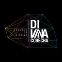 divinacosecha_estudio