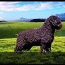 Jesús Hernandez Peña