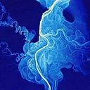 Alejandro Cadena Bonilla