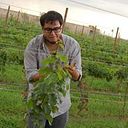 Fernando Zamora Colmenero