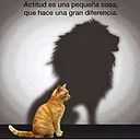 adersonvsx