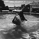 Nerea Moreno Rodriguez