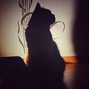 Anika Iribarren ziganga