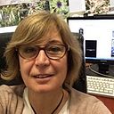 Isabel Segura Velasco