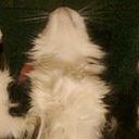 Paula Mariana Tellarini