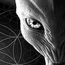 Francisco Galleguillos