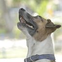 jorgeangaritallanos2