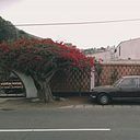 Sofia Reátegui Guardia