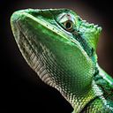 Luis Miguel Cejuela Bordallo