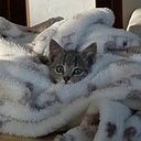 Guido Echeverria Vinueza