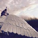 La gata Sobre el tejado