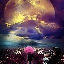 Maribel Dolz Izquierdo