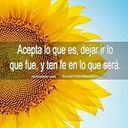 Alberto Martinez Olvera