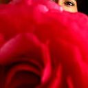 Guillermina Montello