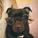 raquel de castro muñoz