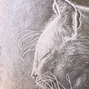 Irene Báez Villanueva