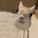 Ana Villavicencio Valdivieso