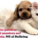 Diana Isabel Agudelo Hurtado