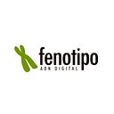 Fenotipo Digital Agencia de Marketing Digital