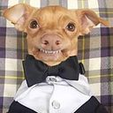 Paúl Concepcion Castillo