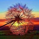 Maria Jose Soler Vidal