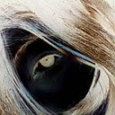 Xenia Rivas Montaño