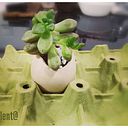 Laura García Palomo