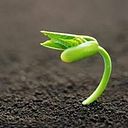 Onaga Martinez Garcia