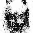 Pau Tomas Riutort Gelabert