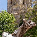 Jasmín Malvesado B.