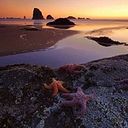 Verónica Martínez Zuleta