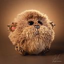 Nathalie Donderis