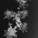 Patricia Esteban Núñez