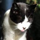 Mayela Gómez Torres