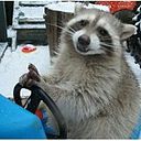 Allyson Galvez Torres