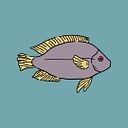 Berenice Gáldiz Carlstein