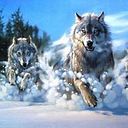 Cesar Augusto Gallego Soto