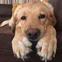 Carolina Chavarriaga