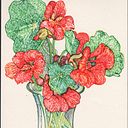 Alicia Hernández Andrada