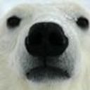 Nicolas Arancibia Pavez