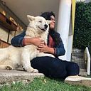 mich_ar_1523