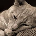 Mari Cruz Cori Chaco