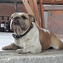 Juan Pedro Hernández